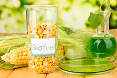 Runcorn biofuel availability